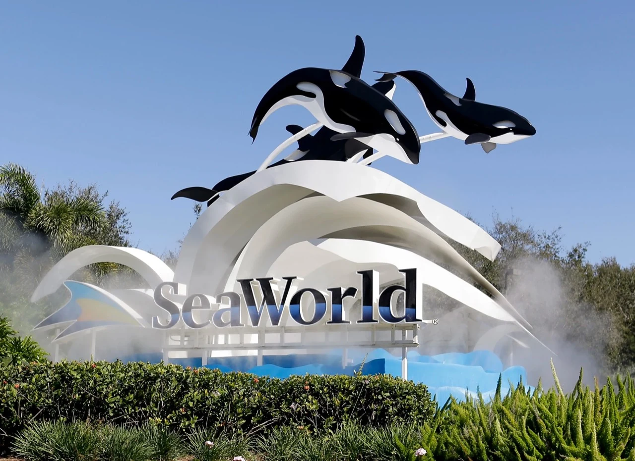 SeaWorld entrance sign with orca sculptures, white waves and tropical landscaping
